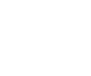 CEO-MC of Florida